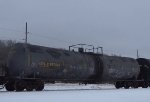 UTLX 667593